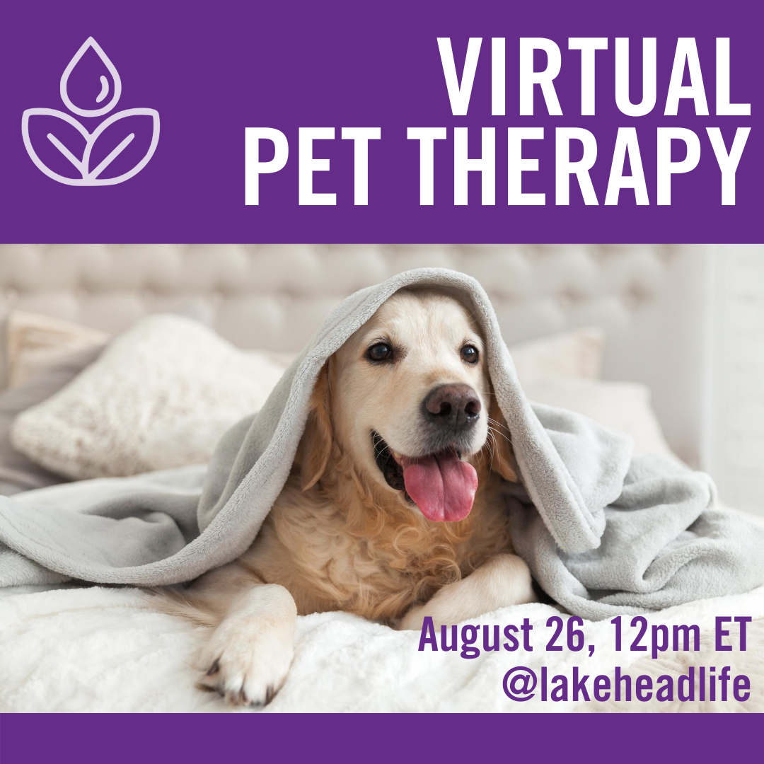 Virtual Pet Therapy Lakehead University